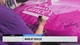 Colorado State Patrol unveils vehicles wrapped for breast cancer awareness