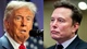 What to know about Trump's Department of Government Efficiency, led by Elon Musk and Vivek Ramaswamy