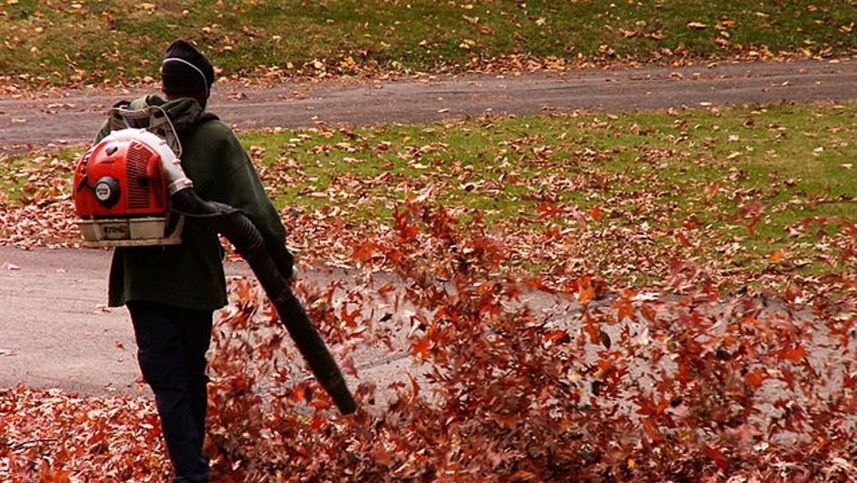 
      
        Colorado Landscapers React to New Gas-Powered Landscaping Restrictions
      
    