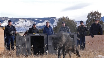 
      
        Colorado Senate to Vote on Contested Parks and Wildlife Appointments
      
    