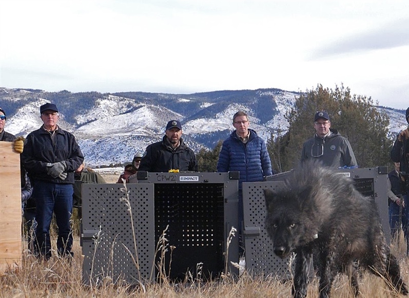 
      
        Colorado Senate to Vote on Contested Parks and Wildlife...