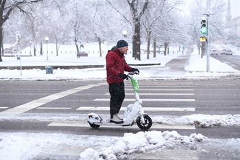 Denver Art Museum, botanic gardens, zoo close Thursday due to heavy snow