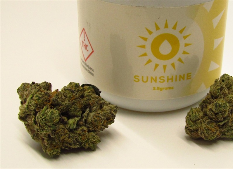 
      
        Popular Cannabis Extractor Sunshine Launches Flower Line...