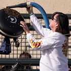 Bees cause a buzz and lengthy disruption at Indian Wells tennis during Alcaraz vs Zverev match