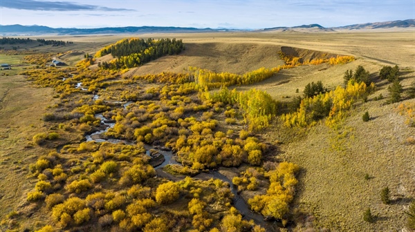 Colorado buys 1,800 acres near Fairplay as playground for hunters, anglers, bird watchers, wildlife lovers