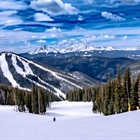 Skier hits tree, dies at Colorado ski resort