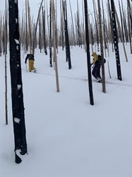 Photo: Skiing through Rocky Mountain National Park’s burn scar