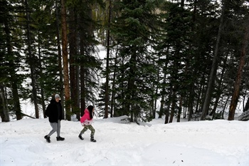 How to enjoy Rocky Mountain National Park in winter