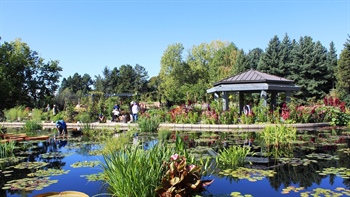 
      
        Denver Botanic Gardens Named One of the Best in U.S. by Vogue
      
    