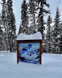 Colorado has seen a snowy March. Could more spring snow be on the way?