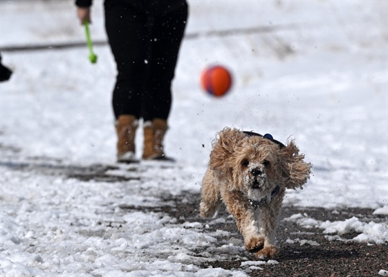 Denver weather: Metro area could see Easter Sunday snow