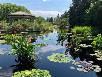 Pro tip: Denver Botanic Gardens members can get in free at over 300 other gardens across North America