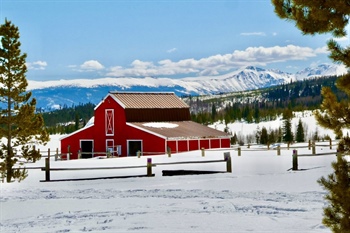 Reader photo: Spring days