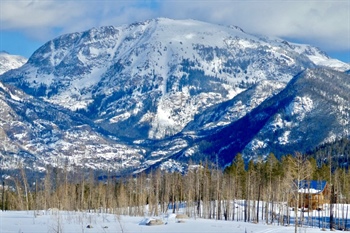 Reader photo: Cabin peeks through the trees