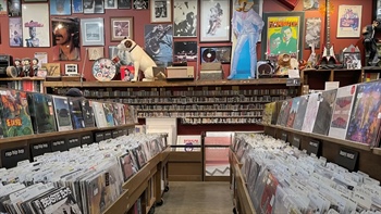 
      
        Denver Record Store Day 2024: Deals, Where to Shop
      
    