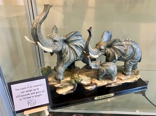 A parade of pachyderms at your local library