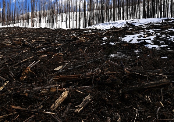 Colorado can expect a “normal” wildfire season this year. That could still mean 5,500 fires.