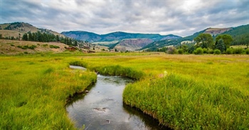 Opinion | Guest column: Restoring protections to wetlands, waterways is vital to the livelihood of Grand County