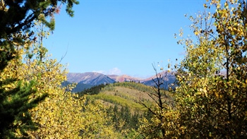 
      
        Climate Change Brings Longer Allergy Season to Colorado
      
    