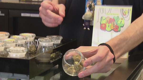 What does possible marijuana rescheduling mean for state of pot businesses in Colorado?