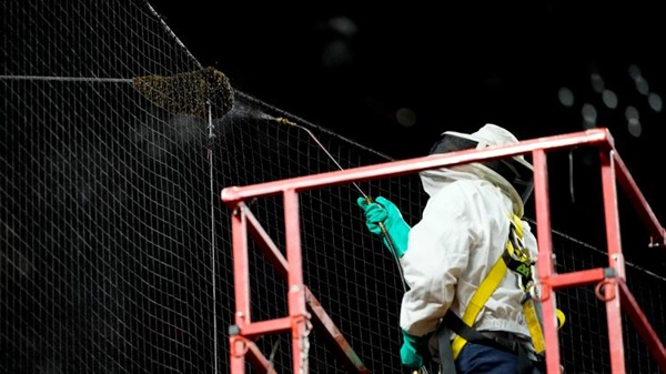 Bee swarm delays baseball game; Beekeeper gets ovation