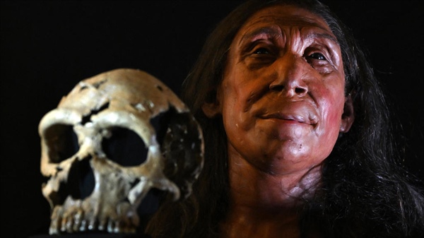 Archaeologists unveil face of Neanderthal woman 75,000 years after she died: "High stakes 3D jigsaw puzzle"