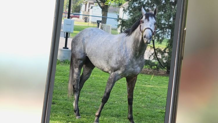 Kentucky Derby horse named after street in Englewood