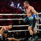 Jaime Munguia falls to Canelo Alvarez in boxing championship, but not with a knockout