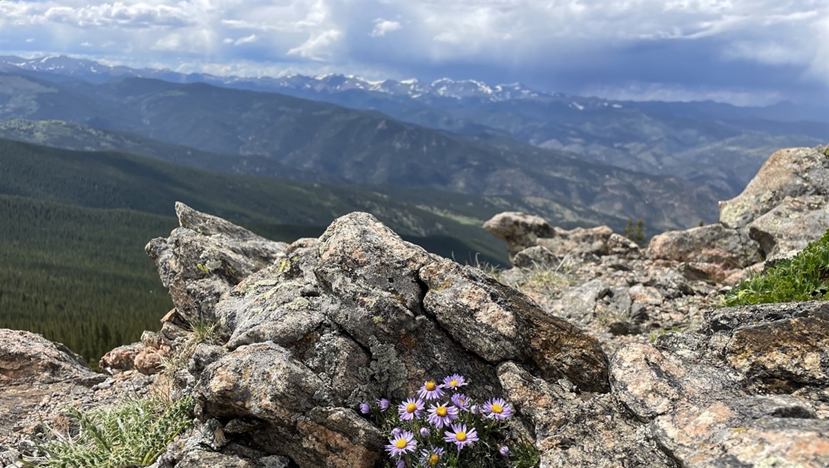 
      
        10 hikes with the best mountain views an hour from Denver
      
    