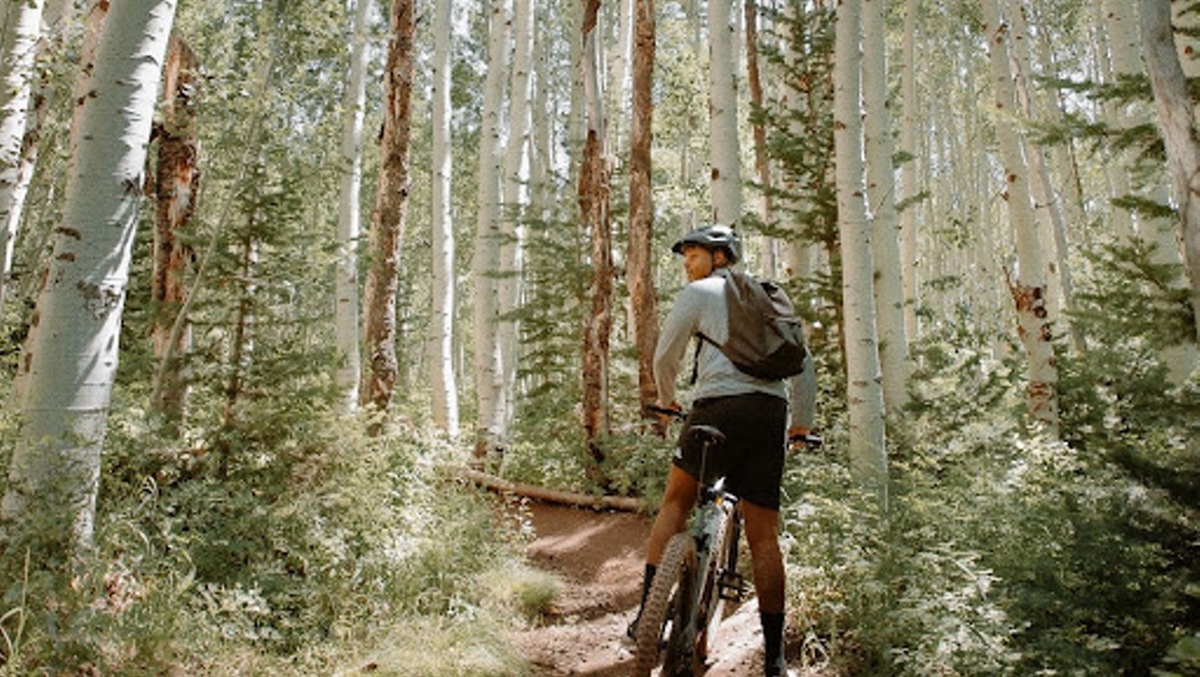 
      
        Get Outside: 10 Beginner Mountain-Biking Trails Near Denver
      
    