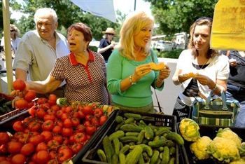 Century-old Brighton veggie farm could close over developer’s eminent domain petition