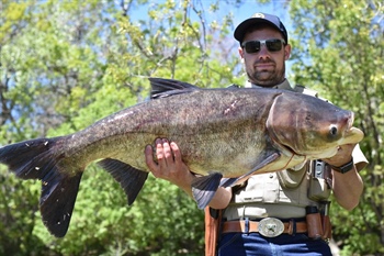 More than a dozen gigantic, decades-old fish removed from Arvada pond