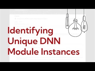 How to Find Unique Instances of a Module in DNN