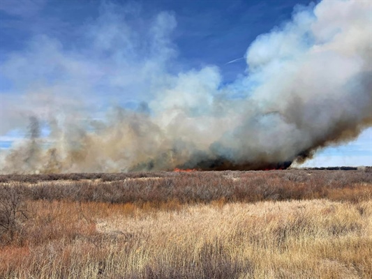 Spruce Creek fire burns nearly 5,000 acres in southwestern Colorado, sparks air quality alert