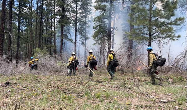 Spruce Creek fire in southwestern Colorado trapped between 2 forest roads, 38% contained
