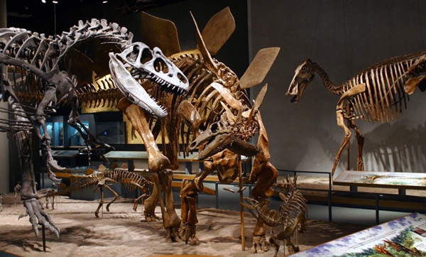 Colorado’s 10 best dinosaur destinations, from museums to track sites and...