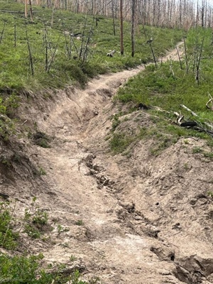 Forest Service’s update on East Troublesome roads and trails