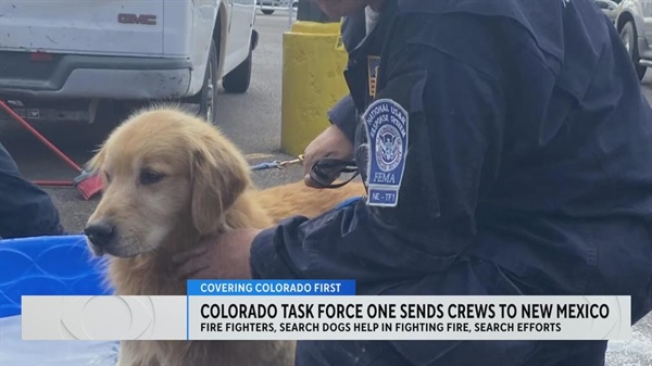 Firefighters and K-9s from Colorado help battle New Mexico wildfires