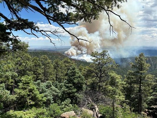Oak Ridge fire grows to 787 acres, closing part of Pike-San Isabel National Forests