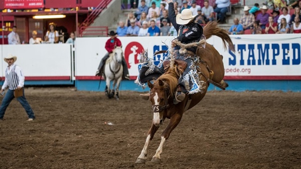 9Things to do at the 102nd Greeley Stampede