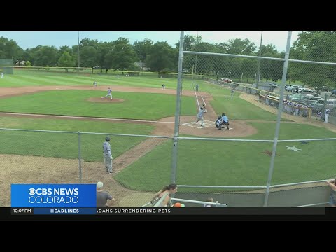 Northern Colorado team and U.S. Military Wardogs play baseball to boost veterans