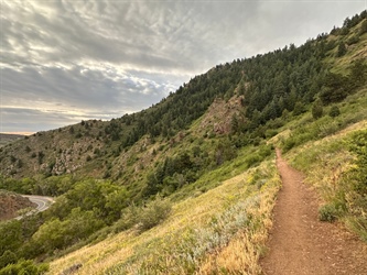 Mount Galbraith offers a great way to squeeze in a hike before work