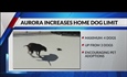 Aurora increases dogs-per-home limit to 4