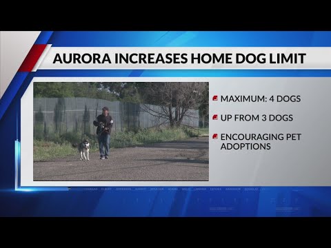 Aurora increases limit on number of dogs in a home