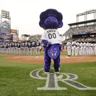 Rockies MLB mock draft 2024 tracker: What national experts predict Colorado will do