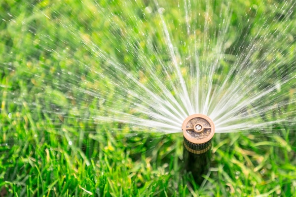 Denver Water: Stop watering your yard at this time