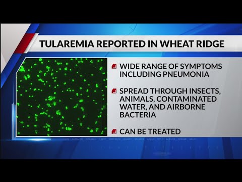 1st human case of tularemia in Wheat Ridge resident