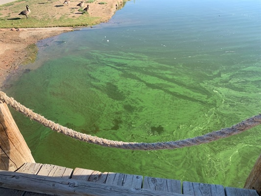Windsor Lake closed on July 4 as officials continue fighting algae blooms