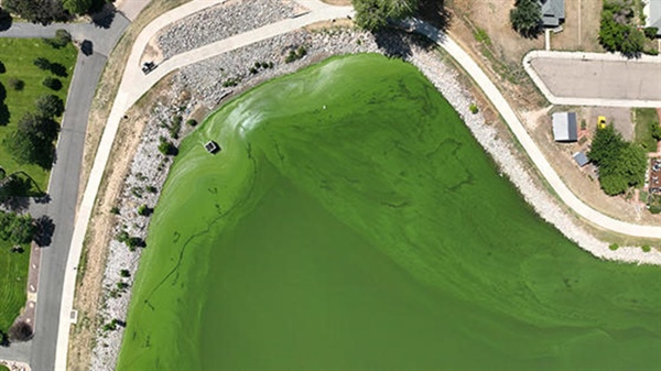 Windsor Lake closed by Colorado Department of Public Health and Environment due to harmful algae blooms