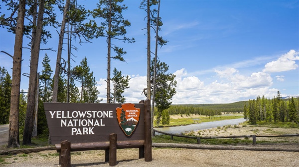 Suspect with gun in Yellowstone National Park dies after shootout with rangers